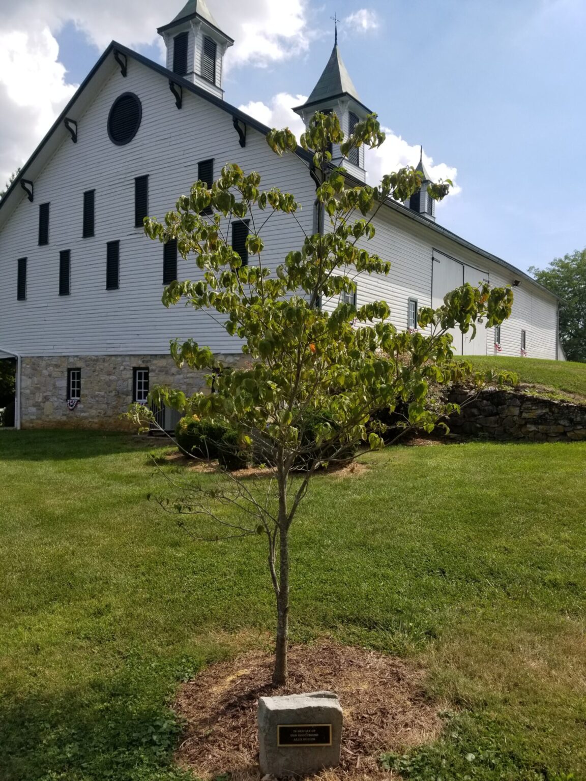 memorial-trees-renfrew-museum-and-park